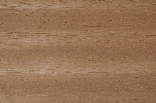 a wood rustic exclusive texture