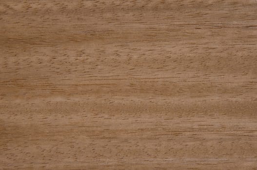 a wood rustic exclusive texture
