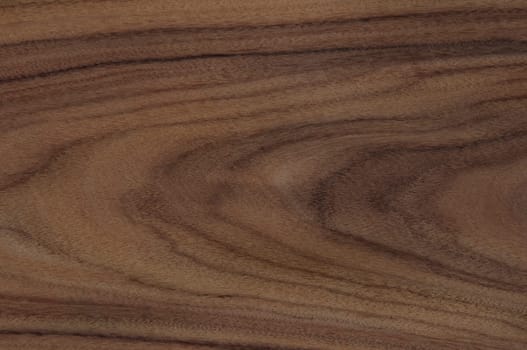 a wood rustic exclusive texture