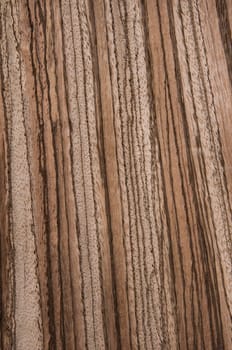 a wood rustic exclusive texture