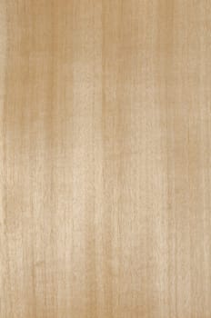 a wood rustic exclusive texture