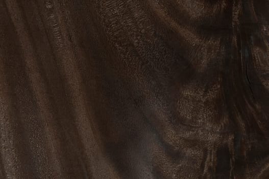 a wood rustic exclusive texture