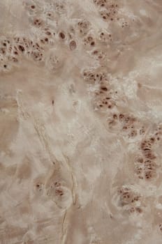 a wood rustic exclusive texture