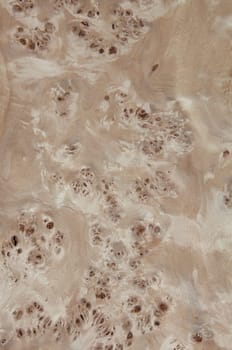 a wood rustic exclusive texture