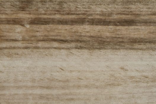 a wood rustic exclusive texture