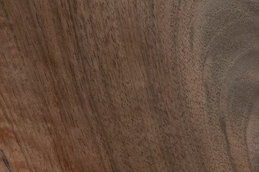 a wood rustic exclusive texture