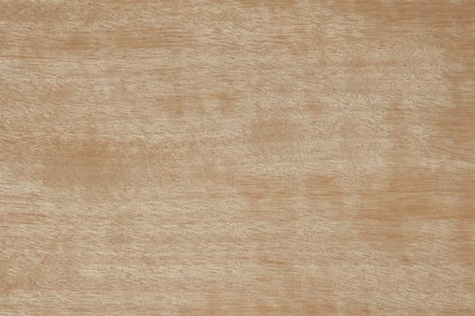a wood rustic exclusive texture