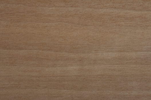 a wood rustic exclusive texture