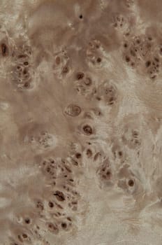 a wood rustic exclusive texture