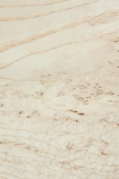 a wood rustic exclusive texture