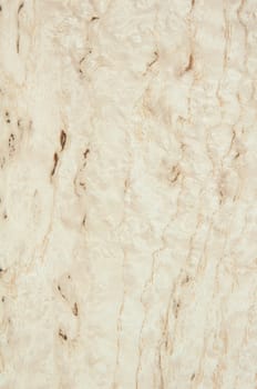a wood rustic exclusive texture