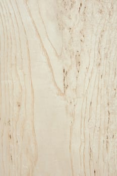 a wood rustic exclusive texture