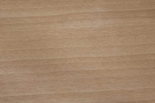 a wood rustic exclusive texture