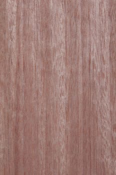 a wood rustic exclusive texture