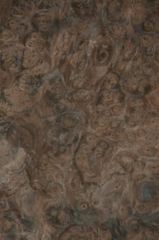 a wood rustic exclusive texture