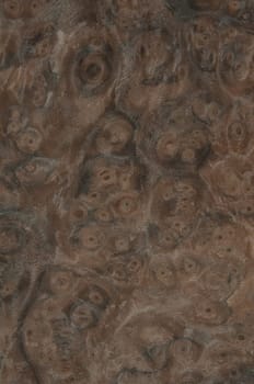 a wood rustic exclusive texture