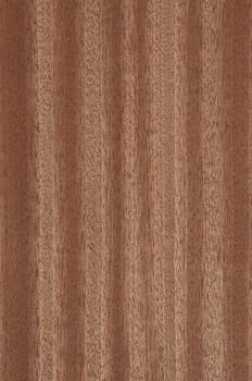 a wood rustic exclusive texture
