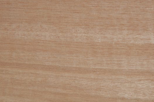 a wood rustic exclusive texture