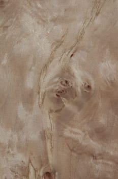 a wood rustic exclusive texture