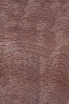 a wood rustic exclusive texture
