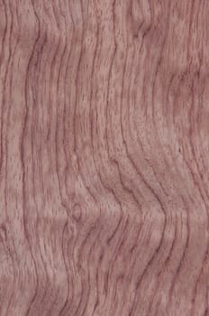 a wood rustic exclusive texture