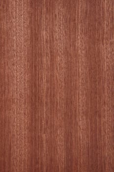a wood rustic exclusive texture