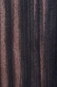 a wood rustic exclusive texture
