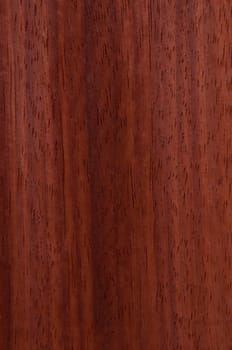 a wood rustic exclusive texture