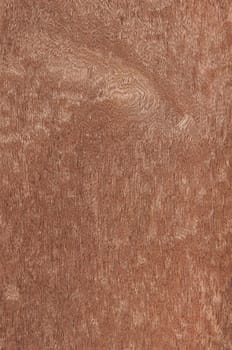 a wood rustic exclusive texture