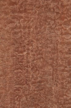 a wood rustic exclusive texture