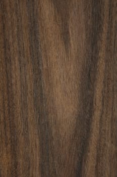 a wood rustic exclusive texture