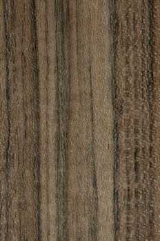 a wood rustic exclusive texture