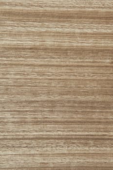 a wood rustic exclusive texture