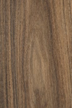 a wood rustic exclusive texture