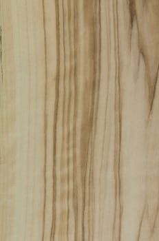 a wood rustic exclusive texture