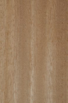 a wood rustic exclusive texture