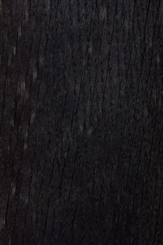 a wood rustic exclusive texture