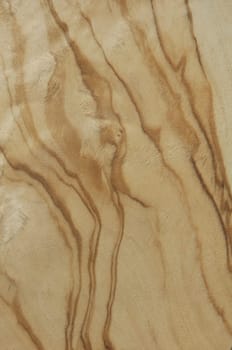 a wood rustic exclusive texture