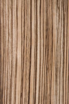 a wood rustic exclusive texture