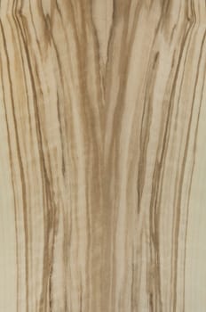 a wood rustic exclusive texture