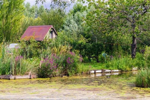 Marshes in Bourges, Berry province, Centre-Val de Loire, France
