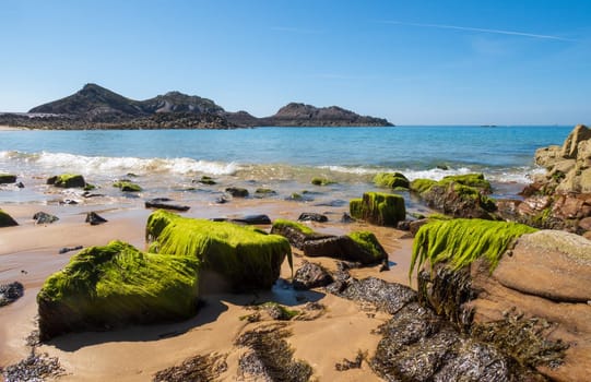 Wave and green on stones on the beach in Erquy, France, Brittany