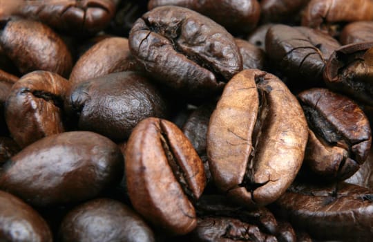 Coffee Beans