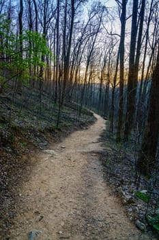 Hiking trail at the Pinnacles in Berea, Kentucky