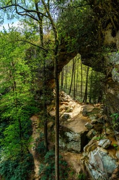 Scenic view of Grays Arch in Red River Gorge in Kentucky
