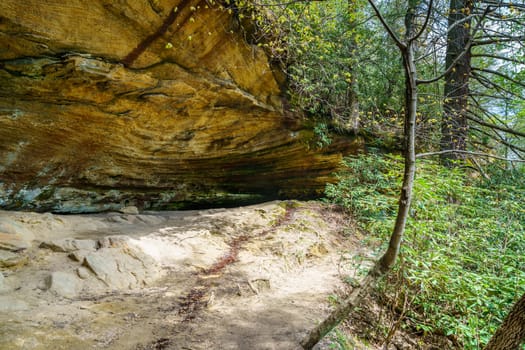 Sandstone formations found in Red River Gorge in Kentucky