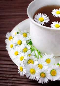 Cup of natural tea on dark background