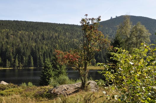 Cutout of the Kleiner Arbersee with view to the Großer Arber