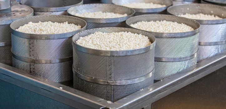 The Making delicious cheese at a cheese factory. Selective focus