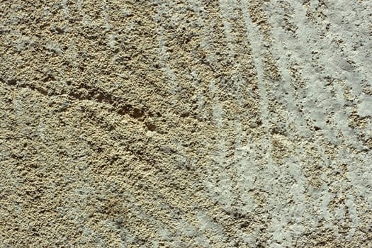 Detailed macro cutting of limestone with many small petrified shells of small molluscs